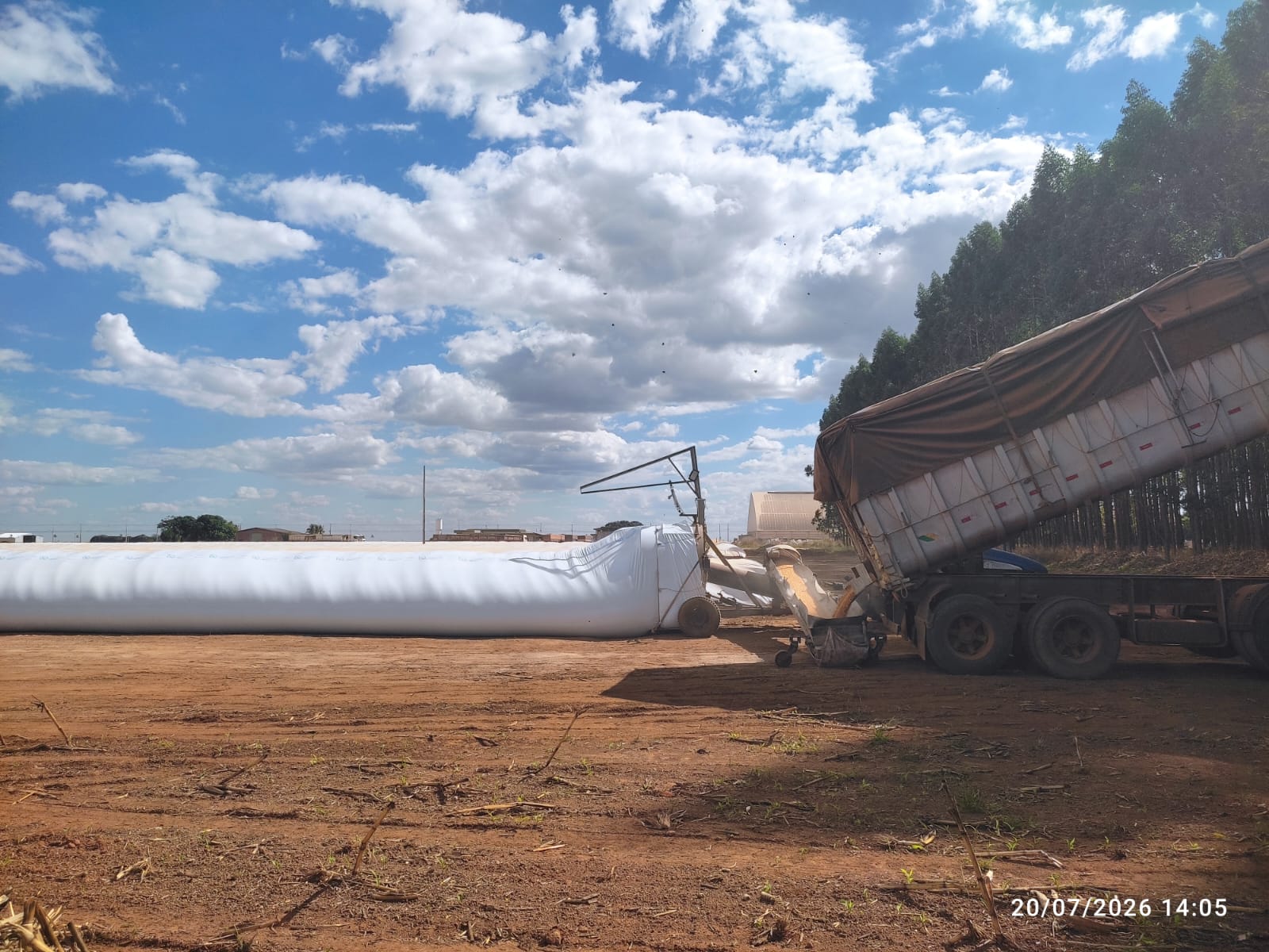 Caminhão basculante alimentando equipamento de embolsamento junto a silo-bolsa